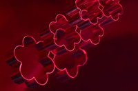 010430_0735_0010_lsls.jpg