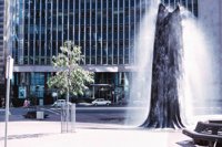 010309_0801_0519_nsls.jpg