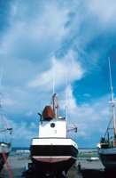 010309_0801_0474_nsls.jpg
