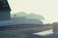 010309_0801_0357_nsls.jpg