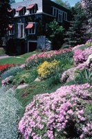 010309_0801_0073_nsls.jpg