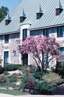 010309_0801_0072_nsls.jpg