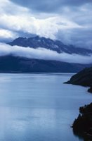 010309_0775_0978_nsls.jpg
