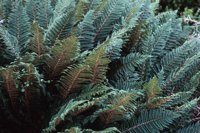 010309_0775_0969_nsls.jpg