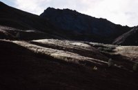 010309_0775_0963_nsls.jpg