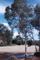010309_0775_0946_nsls.jpg