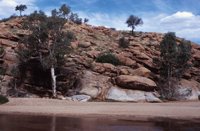 010309_0775_0945_nsls.jpg