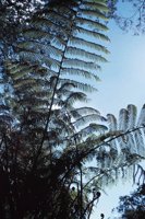 010309_0775_0920_nsls.jpg