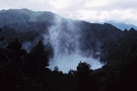 010309_0775_0910_nsls.jpg