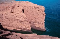 010309_0775_0869_nsls.jpg