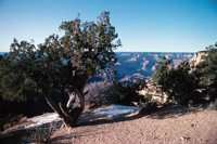 010309_0775_0858_nsls.jpg
