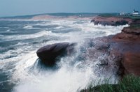 010309_0775_0854_nsls.jpg