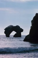 010309_0775_0844_nsls.jpg