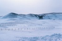 010309_0775_0841_nsls.jpg