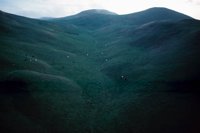 010309_0775_0826_nsls.jpg