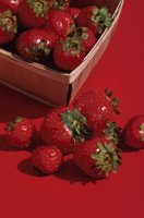 010309_0775_0792_nsls.jpg