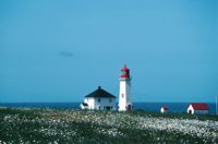 010309_0775_0790_nsls.jpg