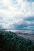 010309_0775_0789_nsls.jpg