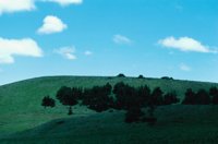 010309_0775_0788_nsls.jpg