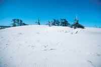 010309_0775_0786_nsls.jpg
