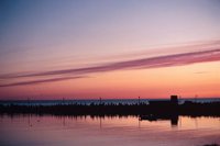 010309_0775_0767_nsls.jpg