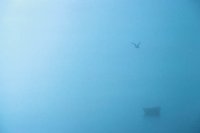 010309_0775_0765_nsls.jpg