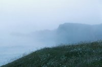 010309_0775_0758_nsls.jpg