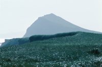 010309_0775_0750_nsls.jpg