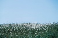 010309_0775_0749_nsls.jpg