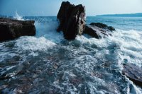 010309_0775_0741_nsls.jpg