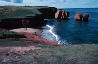 010309_0775_0738_nsls.jpg