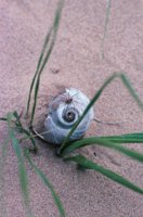 010309_0775_0728_nsls.jpg
