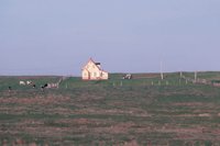 010309_0775_0727_nsls.jpg