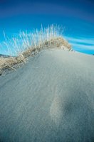 010309_0775_0724_nsls.jpg