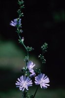 010309_0775_0718_nsls.jpg