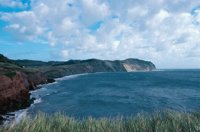 010309_0775_0716_nsls.jpg