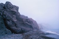 010309_0775_0696_nsls.jpg