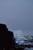 010309_0775_0687_nsls.jpg