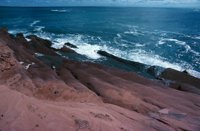 010309_0775_0684_nsls.jpg