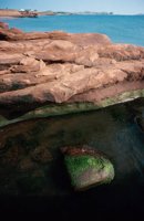 010309_0775_0661_nsls.jpg