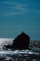 010309_0775_0660_nsls.jpg