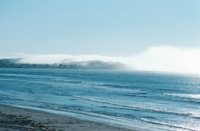 010309_0775_0657_nsls.jpg