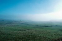 010309_0775_0635_nsls.jpg