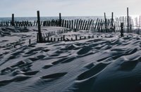 010309_0775_0629_nsls.jpg