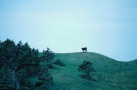 010309_0775_0628_nsls.jpg