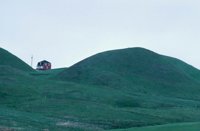 010309_0775_0624_nsls.jpg