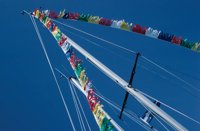 010309_0775_0621_nsls.jpg