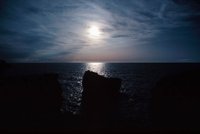 010309_0775_0613_nsls.jpg