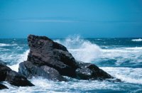 010309_0775_0607_nsls.jpg