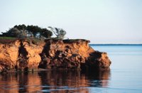 010309_0775_0606_nsls.jpg
